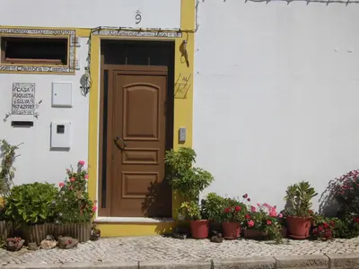 a door with potted plants in front of a building at Casa Riqueta Silva in Bordeira