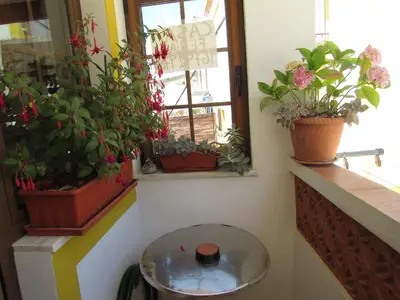 a room with potted plants on the wall and a table at Casa Riqueta Silva in Bordeira