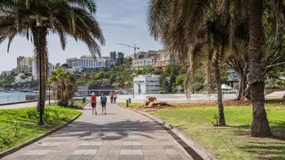 people walking down a sidewalk in a park with palm trees at Sunset Apartment by Holiday Rental Madeira in Funchal
