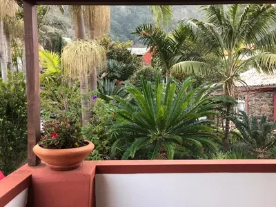 a vase sitting on top of a wall with plants at Palheirinho da Camélia in São Vicente