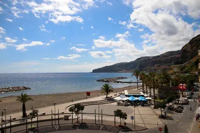 a view of a beach with palm trees and the ocean at Rocha Mar 3M in Ribeira Brava