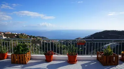 a balcony with potted plants and a view of the ocean at Apartamento Barros in Estreito de Câmara de Lobos