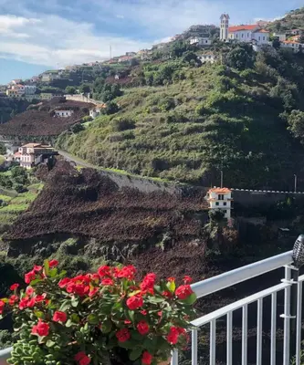 a view of a hill with red roses at Apartamento Barros in Estreito de Câmara de Lobos