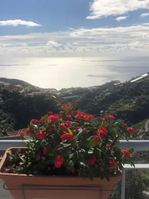a pot of red flowers on a balcony overlooking the ocean at Apartamento Barros in Estreito de Câmara de Lobos