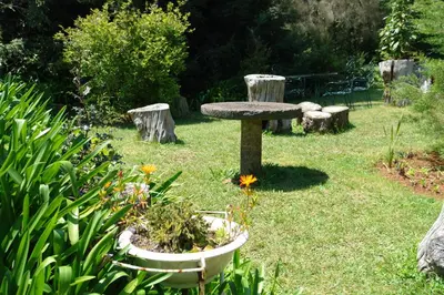a garden with a bird bath and a flower at Quinta Santo Antonio Da Serra in Santa Cruz
