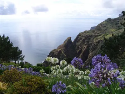 a field of flowers with the ocean in the background at Hotel Jardim Atlantico in Calheta