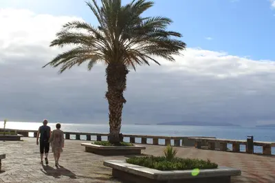 a man and woman walking past a palm tree at Refugio Madeira in Caniço