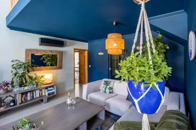 a living room with blue walls and a hanging plant at Casa Skip in Aljezur