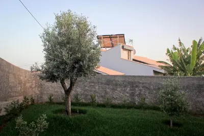a tree in a yard next to a wall at Casa das Andorinhas in Estreito da Calheta
