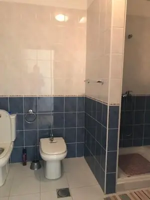 a bathroom with a toilet and a shower at Apartamento Arrifes in Porto Santo