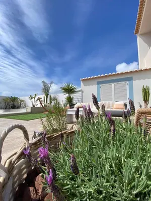 a garden with purple flowers in front of a house at Casa Biota in Sagres