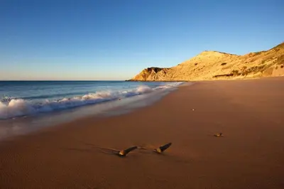 a couple of birds footprints in the sand on a beach at Apartamentos Os Descobrimentos in Burgau