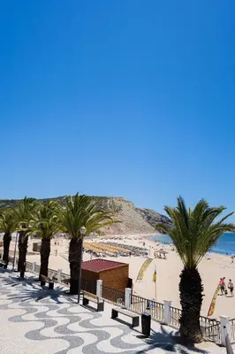 a beach with palm trees and people on the sand at Luz Beach Apartments in Luz
