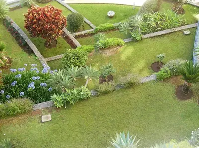 an aerial view of a garden with plants and flowers at Oceanfront Apartment in Funchal