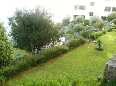 a garden with flowers and plants in a building at Oceanfront Apartment in Funchal