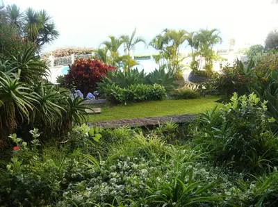 a garden with flowers and trees and a building at Oceanfront Apartment in Funchal