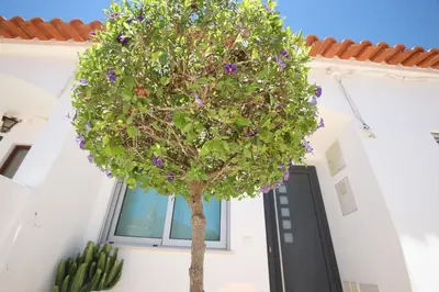 a tree in front of a door with purple flowers at Luz House in Luz