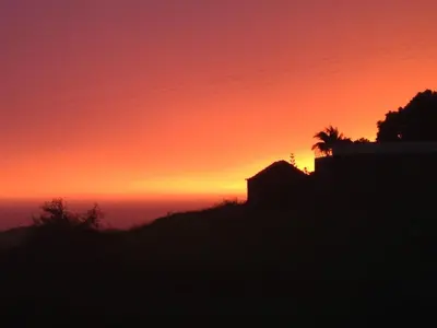 a sunset with a silhouette of a building and a palm tree at Blooming Botanic Houses in Estreito da Calheta