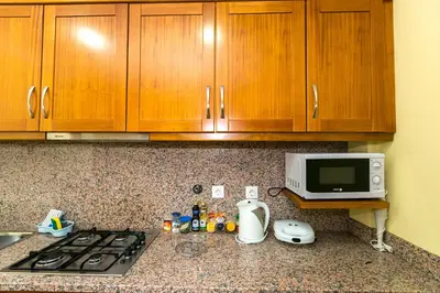a kitchen counter with a stove and a microwave at Atlantic Rose in Calheta
