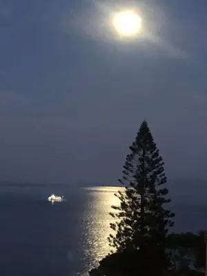 a boat in the water at night with the moon at Em casa longe de casa, tão bom! in Gaula