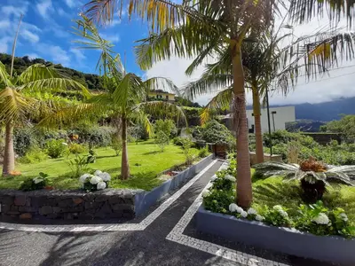 a garden with palm trees and flowers on a street at Casa da Ribeira in São Vicente