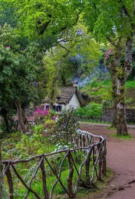 a cottage in the middle of a garden with flowers at Vila Faia in Caniço