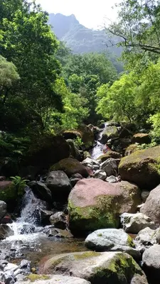 a stream of water with rocks and trees at Ape Esquerdo in São Vicente
