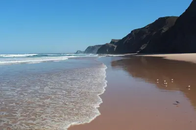 a beach with a few birds standing on the sand at Trivial Pisão - Casa de Férias, para a sua Família in Raposeira