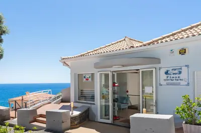 a house with a view of the ocean at TarmarPlace in Jardim do Mar