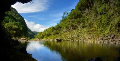 a view of a river between two mountains at Enzo Apartament in Funchal
