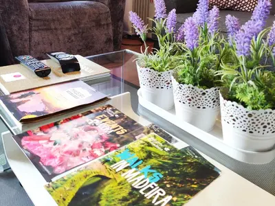 a glass table with plants and magazines on it at Old Town House Madeira in Funchal