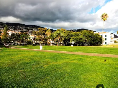 a park with a green field and palm trees at Old Town House Madeira in Funchal