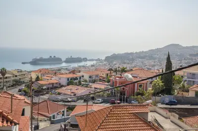 a view of a city with ships in the water at Rochinha House in Funchal