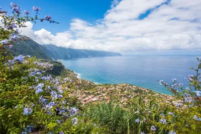 a view of the ocean from a hill with flowers at Enxurros House in Ponta Delgada
