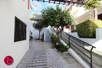 a walkway in a building with plants and a staircase at GuestHouse Vila Lusitania in Funchal
