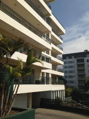 an apartment building with balconies and a palm tree at Costa Sol IX by Madeira Holiday Rentals in Funchal