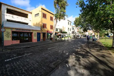 a cobblestone street in a town with buildings at Casa Maria in Funchal