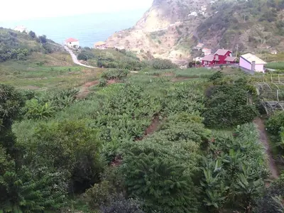 a house on a hill next to the ocean at Vista Boa in Porto da Cruz