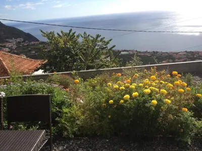 a garden with a view of the ocean at Villa Girasol in Arco da Calheta