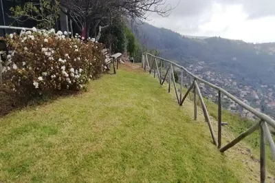 a grassy hill with flowers and a fence at Ocean View Cottage in Arco da Calheta