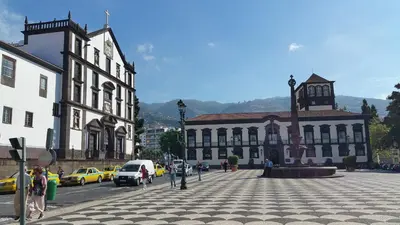 a group of people walking around a city street at Edificio Charles 206 in Funchal