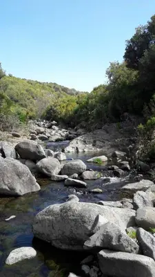 a rocky river with rocks and trees on a hill at Funchal Bay View Holiday Rental in Funchal