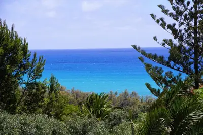 a view of the ocean from a hill with trees at Porto Santo - Pedras Pretas Beach House in Porto Santo