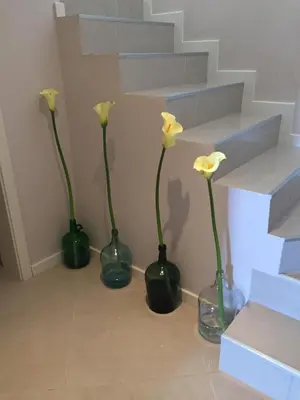 three green vases with yellow flowers in them at Casa da Grota in Porto Moniz