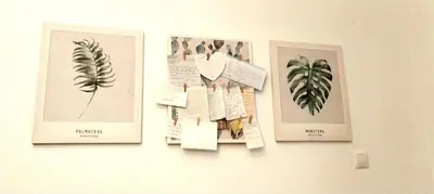 a wall with three pictures of plants on it at City Apartment in Funchal