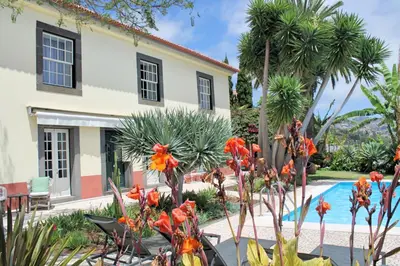 a house with a swimming pool and palm trees at OurMadeira - Quinta D'Alegria in Funchal