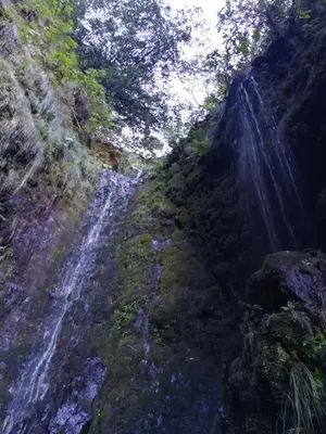 a waterfall on the side of a mountain with trees at Refúgio da Xamusca in São Vicente