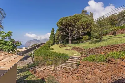 a set of stairs leading up to a hill with trees at Vila Eucalipto by An Island Apart in Funchal