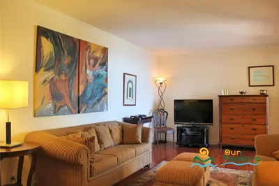 a living room with a couch and a tv at OurMadeira - Villa Luz in Funchal