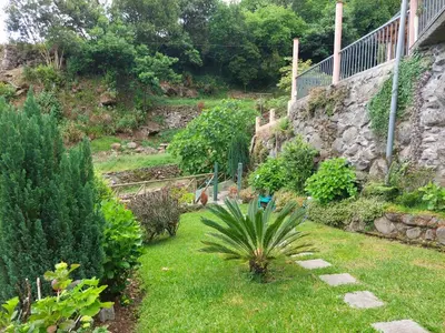 a garden with a plant in the grass at Fantatic Holiday House in Ponta Delgada